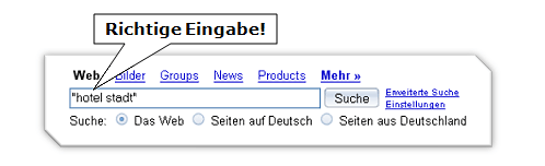 Richtige Domain-Eingabe bei Google